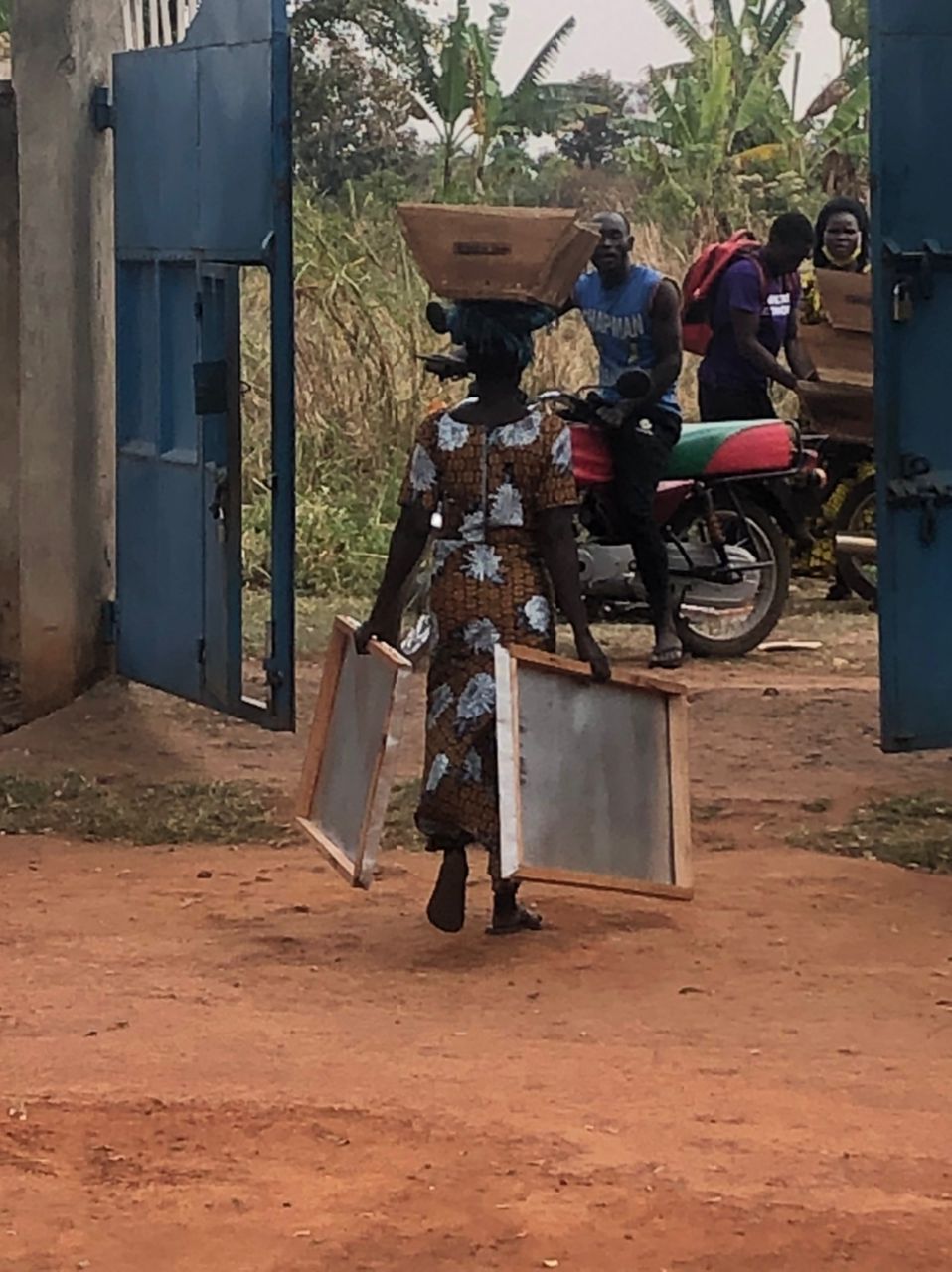 Woman carrying hive frame