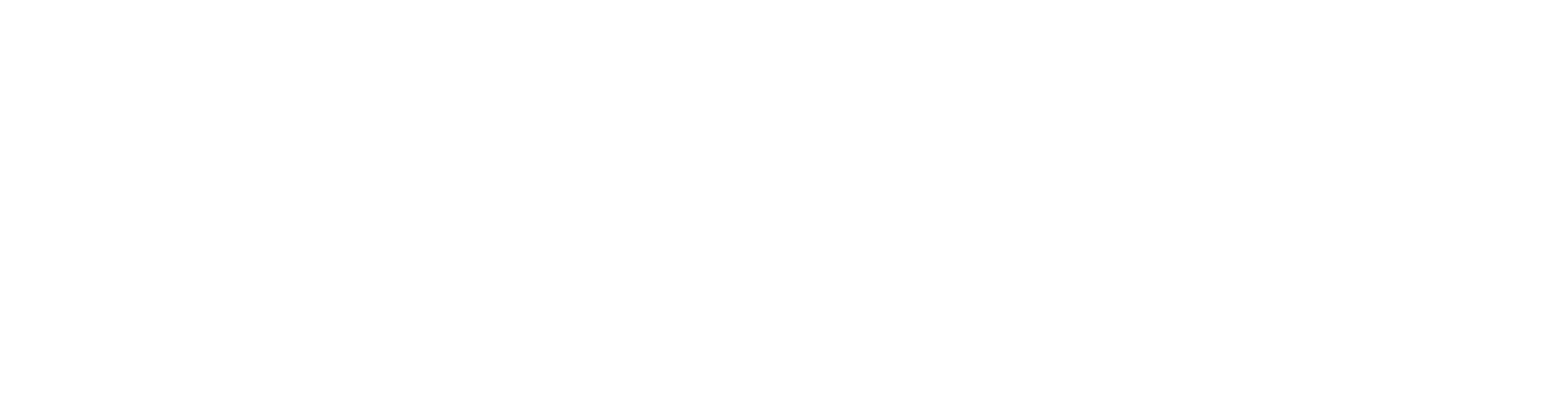 Hope Alive 2024 logo--white lettering Hope Alive 2024 logo white on blue background