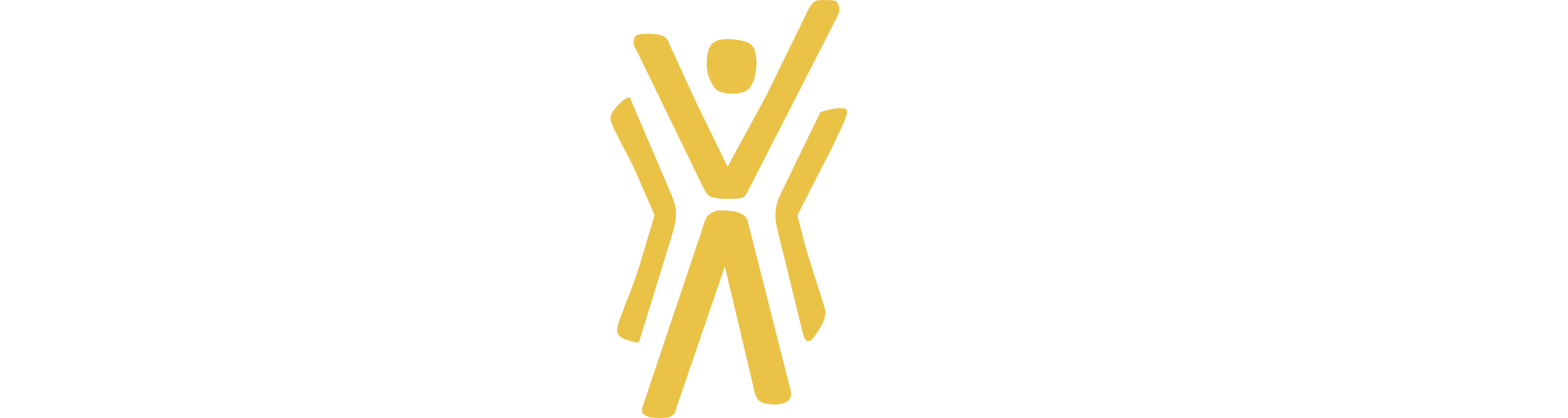 Hope Alive! 2024 logo in white on blue background Hope Alive! 2024 logo in white on blue background