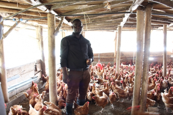 A Tale of Two Veterinarians